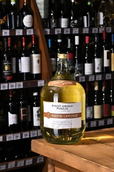 Maestri Cantinieri Pinot Grigio IGP - вино Маэстри Кантиниэри Пино Гриджио ИГТ 5 л белое полусухое