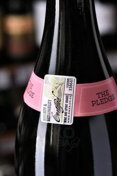 The Pledge Our Passion Appassimento Pinotage - вино Зе Пледж Ауа Пешн Аппассименто Пинотаж 2021 год 0.75 л красное полусухое