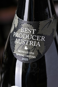 Pfaffl Austrian Blackberry - вино Пфаффль Австрийская Ежевика 0.75 л красное сухое