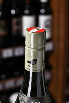 Pfaffl Austrian Elder - вино Пфаффль Австрийская Бузина 0.75 л белое сухое