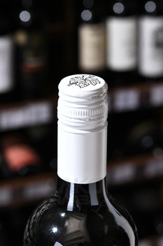 Two Vines Cabernet Sauvignon - вино Ту Вайнс Каберне Совиньон 0.75 л красное полусухое