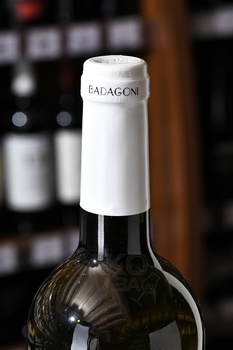 Badagoni Alazani Valley - вино Бадагони Алазанская Долина 0.75 л белое полусладкое