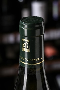 Emilian Gillet du Domaine de La Bongran Quintaine - вино Эмильян Жилле дю Домен де Ла Бонгран Кинтен 0.75 л белое сухое