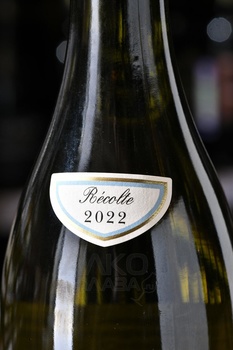 Chartron et Trebuchet Bourgogne Aligote - вино Шартрон э Требюше Бургонь Алиготе 0.75 л белое сухое