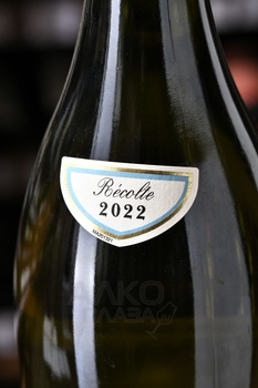 Chartron et Trebuchet Bourgogne Chardonnay - вино Шартрон э Требюше Бургонь Шардоне 0.75 л белое сухое