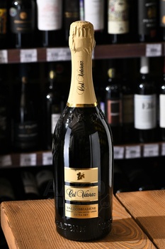 Valdobbiadene Col Vetoraz Extra Dry - вино игристое Вальдоббьядене Кол Ветораз Экстра Драй 0.75 л белое сухое в п/у