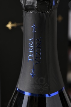 Terra Vizina Prosecco Millesimato - вино игристое Терра Вицина Просекко Миллезимато 0.75 л белое брют в п/у