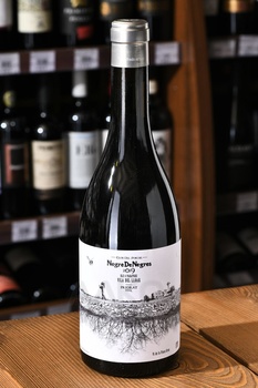Portal del Priorat Negre de Negres - вино Портал дел Приорат Негре де Негрес 0.75 л красное сухое