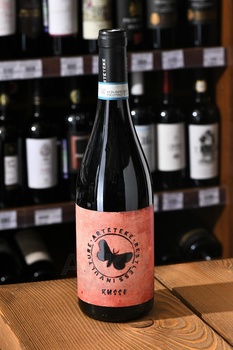 Arteteke Russe Aglianico del Vulture DOC - вино Артетеке Руссе Алианико дель Вультуре ДОК 2020 год 0.75 л красное сухое