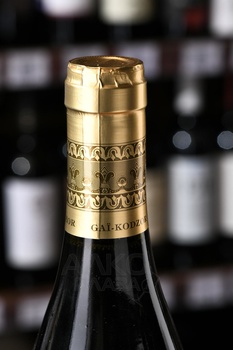 Pinot Noir de Gai-Kodzor - вино Пино Нуар де Гай-Кодзор 0.75 л красное сухое