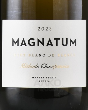 Magnatum - вино игристое Магнатум 0.75 л белое брют