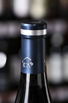 Вино Геленджик-Криница-Бетта Арена 0.75 л красное сухое