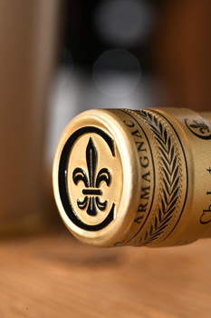 Chabot 1974 - арманьяк Шабо 1974 года 0.7 л