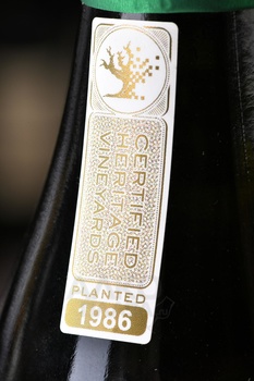 Ayama Old Vine Chenin Blanc - вино Аяма Олд Вайн Шенен Блан 0.75 л белое сухое