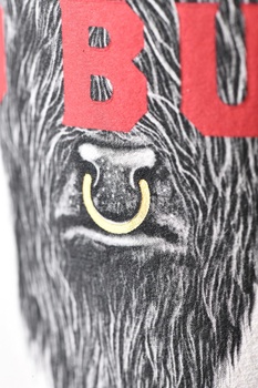 No Bull Zinfandel - вино Ноу Булл Зинфандель 2021 год 0.75 л красное сухое