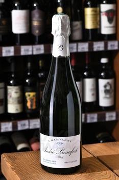 Andre Beaufort Polisy Blanc de Blancs - шампанское Андре Бофор Полизи Блан де Блан 0.75 л белое брют натюр