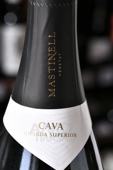 Mastinell Heretat Cava Brut Real Gran Reserva - вино игристое Мастинелл Херетат Кава Гран Резерва Брют Реал 0.75 л белое брют