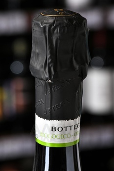 Bottega Prosecco Biologico - вино игристое Боттега Просекко Биолоджико 2021 год 0.75 л белое сухое