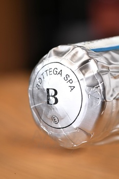 Bottega White Gold Venezia Brut - вино игристое Боттега Уайт Голд Венециа Брют 2023 год 0.75 л белое брют