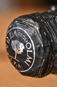 Soave Spumante Extra Dry - вино игристое Соаве Спуманте Экстра Драй 0.75 л белое сухое