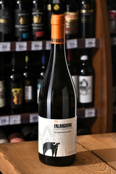 San Salvatore Falanghina Campania - вино Сан Сальваторе Фалангина Кампания 0.75 л белое сухое