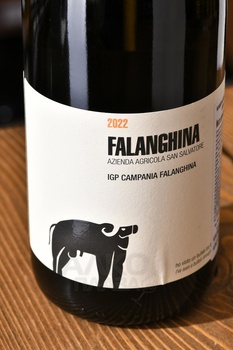 San Salvatore Falanghina Campania - вино Сан Сальваторе Фалангина Кампания 0.75 л белое сухое