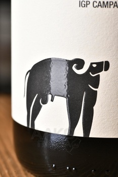 San Salvatore Falanghina Campania - вино Сан Сальваторе Фалангина Кампания 0.75 л белое сухое