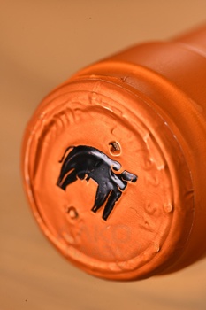 San Salvatore Falanghina Campania - вино Сан Сальваторе Фалангина Кампания 0.75 л белое сухое