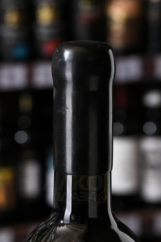 Вино Собер Баш Грани Саперави Амфора 0.75 л красное сухое