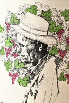 Abbona Papa Celso Dogliani - вино Аббона Папа Сельсо Дольяни 0.75 л красное сухое