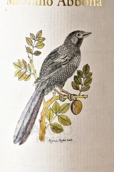 Abbona Barolo Pressenda - вино Бароло Аббона Прессенда 0.75 л красное сухое