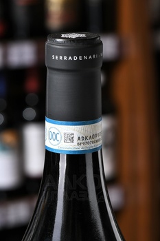 Giulia Negri Pian delle Mole Nebbiolo Langhe DOC - вино Джулия Негри Пиан Делле Моле Неббиоло Ланге ДОК 0.75 л красное сухое