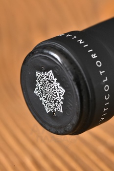 Giulia Negri Pian delle Mole Nebbiolo Langhe DOC - вино Джулия Негри Пиан Делле Моле Неббиоло Ланге ДОК 0.75 л красное сухое