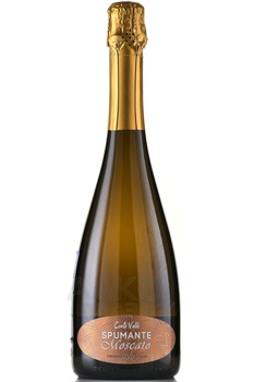 Conti Valli Spumante Moscato - вино игристое Конти Валли Спуманте Москато 0.75 л белое сладкое