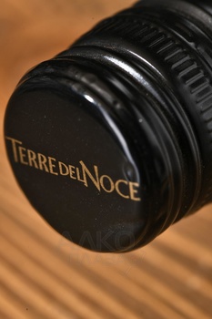 Mezzacorona Terre del Noce Merlot Dolomiti - вино Медзакорона Терре Дель Ноче Мерло Доломити 0.75 л красное сухое