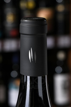 Glen Pinot Nero Riserva Alto Adige DOC - вино Глен Пино Неро Ризерва Альто Адидже ДОК 2019 год 0.75 л красное сухое