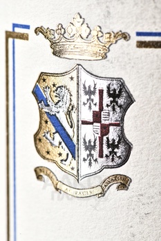 San Leonardo IGT - вино Сан Леонардо ИГТ 2019 год 0.75 л красное сухое