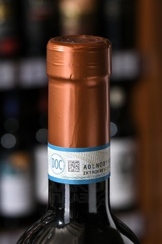 Cantine Povero Grignolino Buon Paggio Piemonte - вино Кантине Поверо Буон Паджо Гриньолино Пьемонте 0.75 л красное сухое