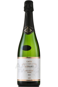 Vinart Vintage Cava - вино игристое Винарт Винтаж Кава 0.75 л белое брют натюр