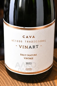 Vinart Vintage Cava - вино игристое Винарт Винтаж Кава 0.75 л белое брют натюр