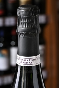 Petit & Bajan Promise Grand Cru - шампанское Пети и Бажан Промис Гран Крю 0.75 л белое брют