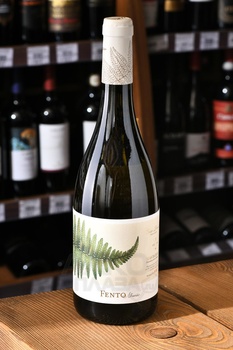 Fento Albarino - вино Фенто Альбариньо 0.75 л белое сухое