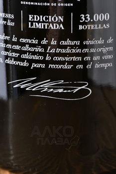 Villarei Albarino - вино Вийарей Альбариньо 0.75 л белое полусухое