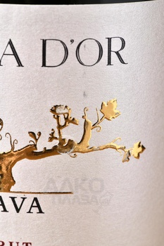 Cava Flama d’Or - вино игристое Кава Флама д’Ор 0.75 л белое брют