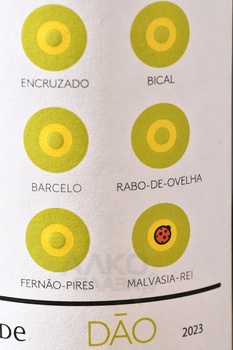 Casa de Mouraz Dao - вино Казе де Мураш 2023 год 0.75 л белое сухое