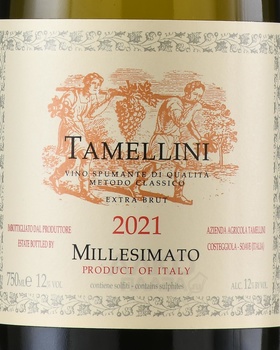 Tamellini Millesimato Extra Brut - вино игристое Тамеллини Миллезимато Экстра Брют 0.75 л белое экстра брют