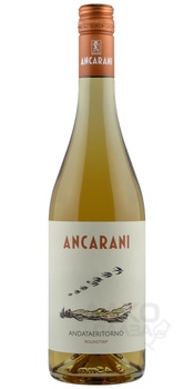 Ancarani Andataeritorno Roundtrip - вино Анкарани Андатаэриторно Раундтрип 0.75 л белое сухое