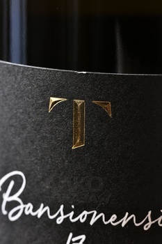 Champagne Eric Taillet Bansionensi - шампанское Шампань Эрик Тайе Бансионенси 0.75 л белое экстра брют в п/у