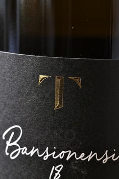 Champagne Eric Taillet Bansionensi - шампанское Шампань Эрик Тайе Бансионенси 2017 год 0.75 л белое экстра брют в п/у