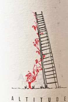 Salima & Alain Cordeuil Altitude 350m - шампанское Салима и Ален Кордёй Альтитюд 350м 2018 год 0.75 л белое экстра брют